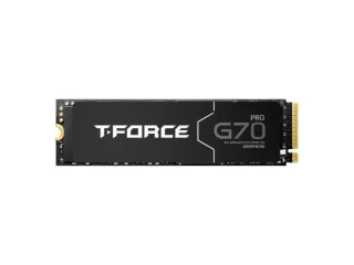 TEAMGROUP T-FORCE G70 PRO Graphene - 1 TB SSD, M.2 PCIe 4.0 X4, M.2-2280
