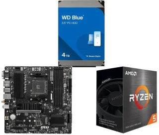WD Blue 4TB Desktop Hard Disk Drive + MSI PRO B550M PRO-VDH WIFI + AMD Ryzen 5 5500